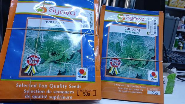 Collards Mfalme F1 50g - thumbnail 3
