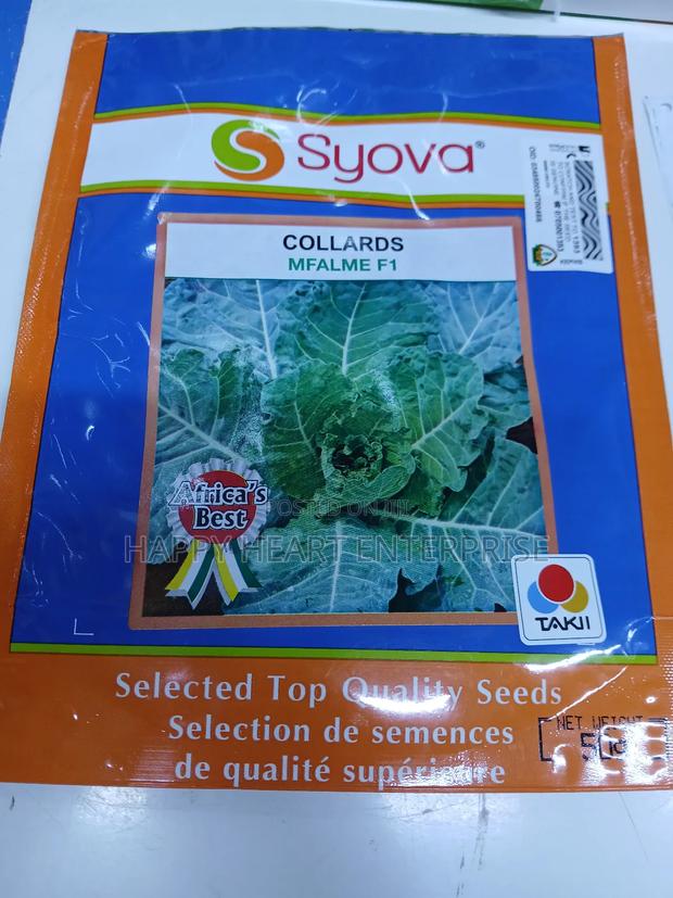 Collards Mfalme F1 50g - thumbnail 4