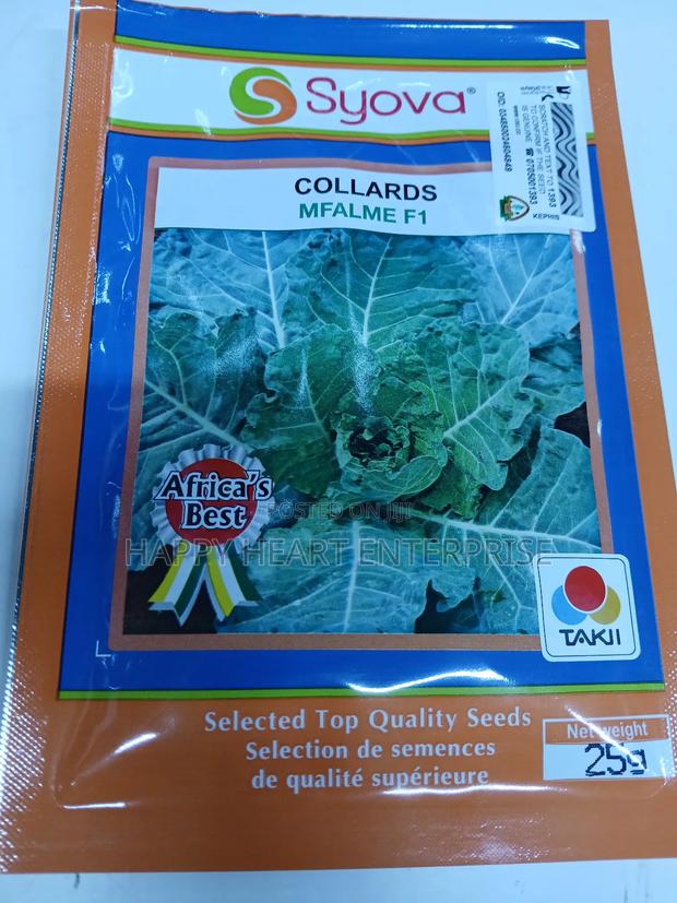 Collards Mfalme F1 25g