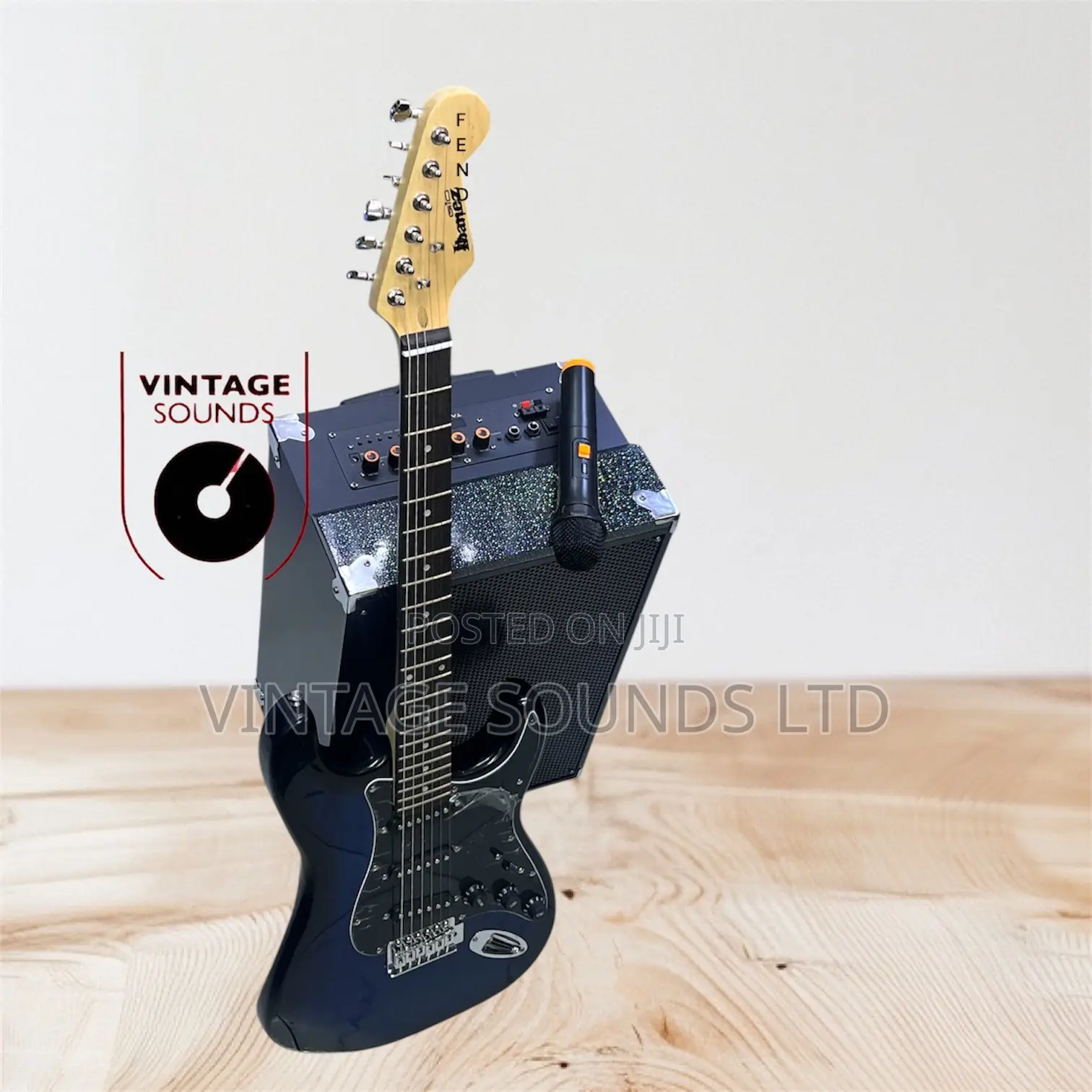 Fender Electric Guitar, Powered Speaker + Wireless Mic One Pc