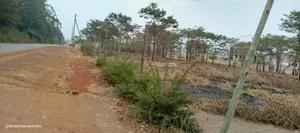 Thika Road Tora Prime 50×100 Plot