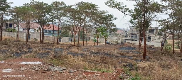 Thika Road Tora Prime 50×100 Plot - thumbnail 5