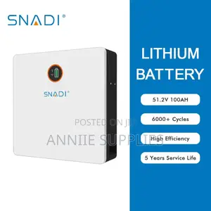 Snadi 51.2v Lithium Battery