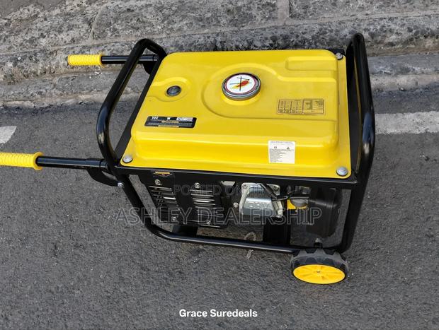 4.5 Kva Lenhard Golf Generator - main view