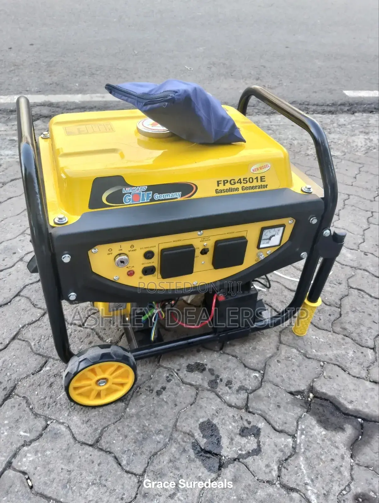 Gasoline Lenhard Golf Generator