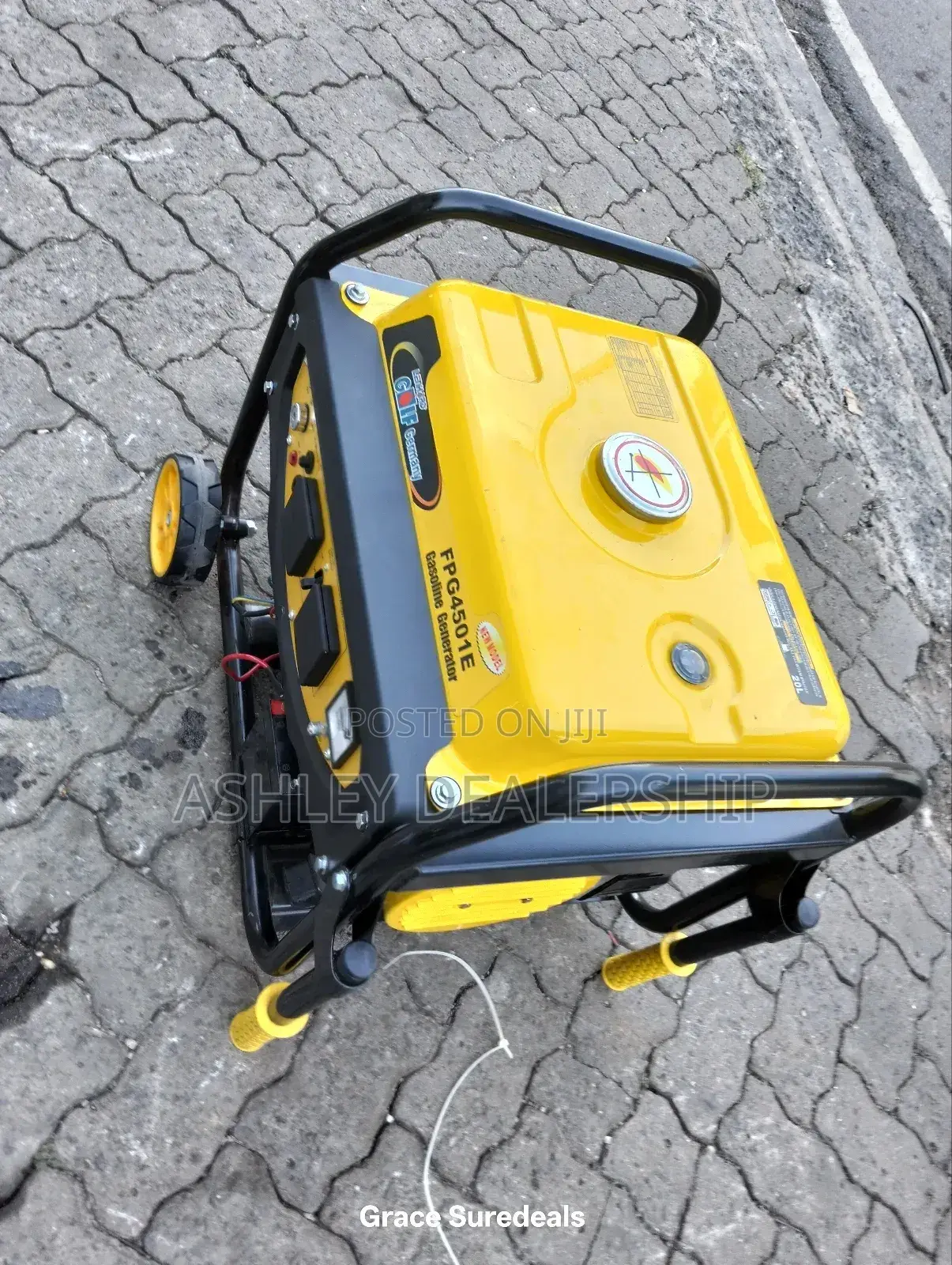 Gasoline Lenhard Golf Generator