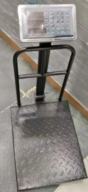 Powerful 300kg Platform Weighing Scale