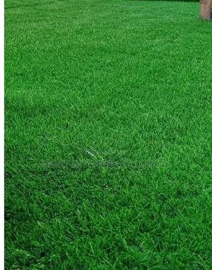 Ultra-Soft Artificial Grass Carpet - thumbnail 2