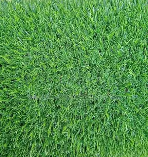All Weather Artificial Grass Carpet