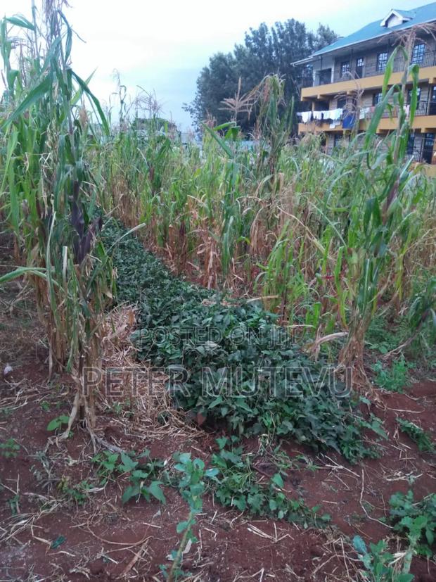 Land for Sale in Ngong Town - thumbnail 5