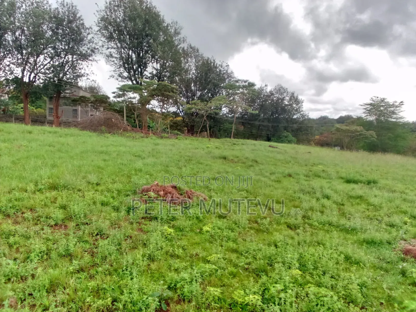 13.5 Acre Land for Sale in Karen