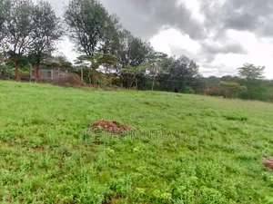 13.5 Acre Land for Sale in Karen
