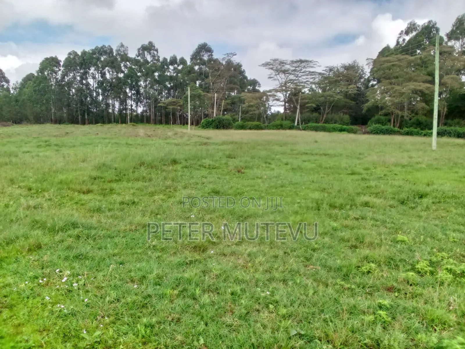 13.5 Acre Land for Sale in Karen