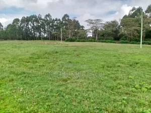 13.5 Acre Land for Sale in Karen