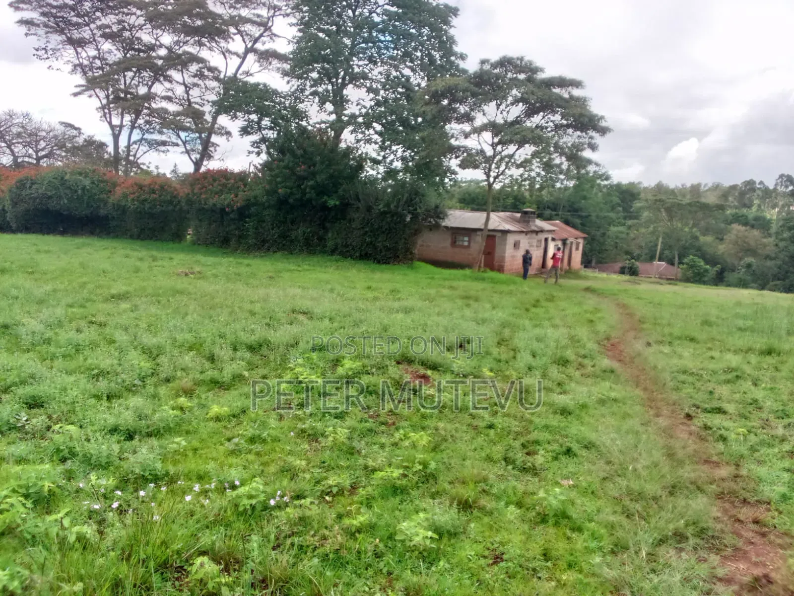 13.5 Acre Land for Sale in Karen