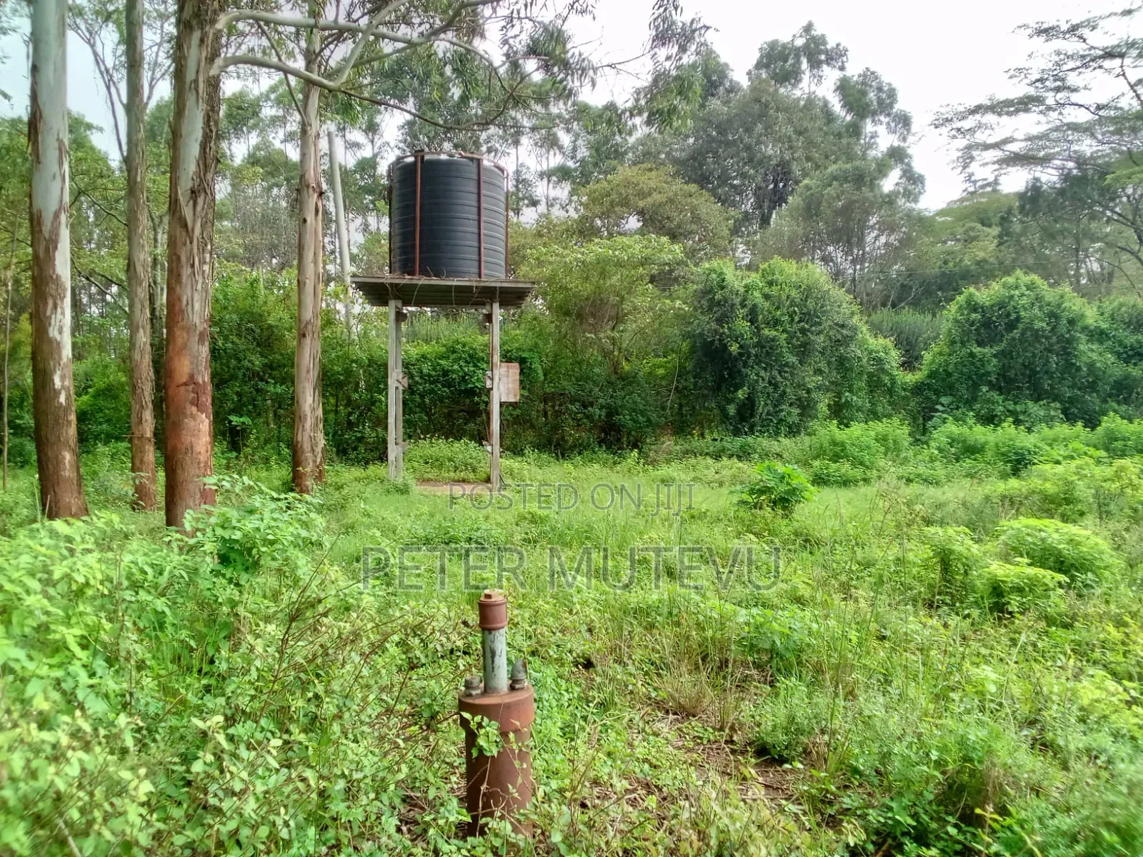 13.5 Acre Land for Sale in Karen