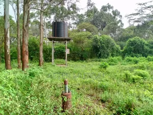 13.5 Acre Land for Sale in Karen