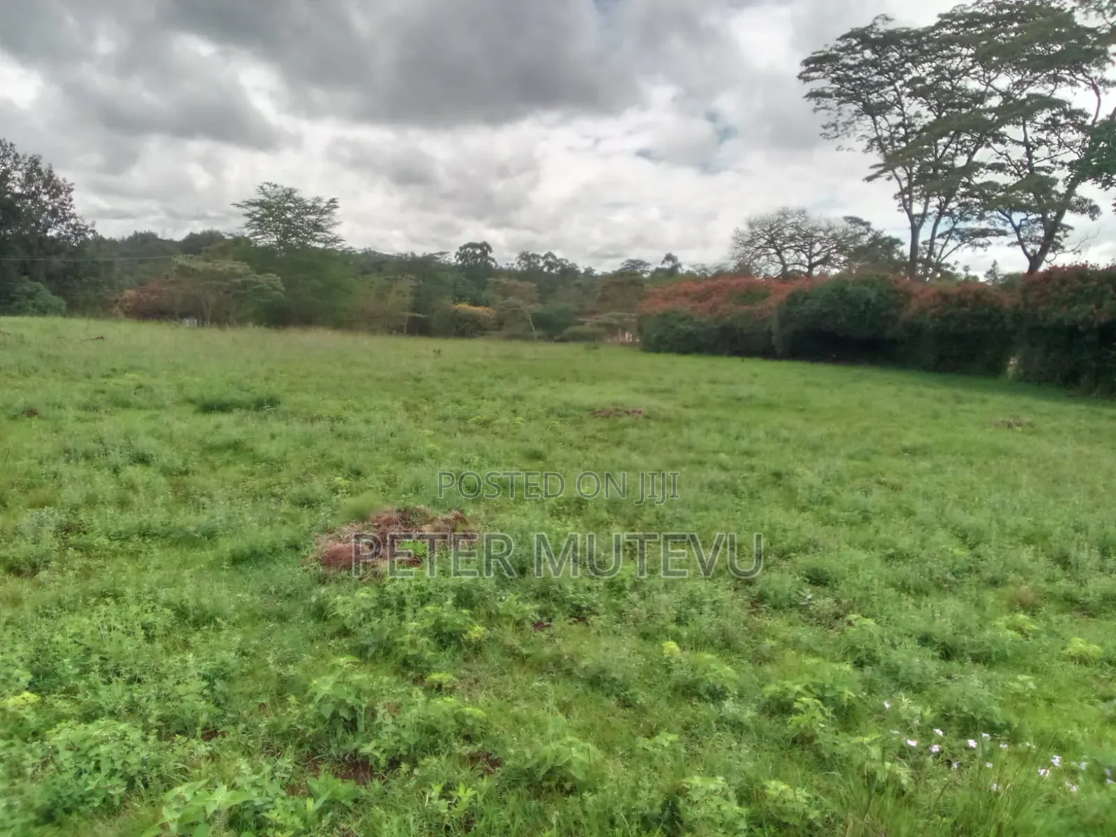 13.5 Acre Land for Sale in Karen