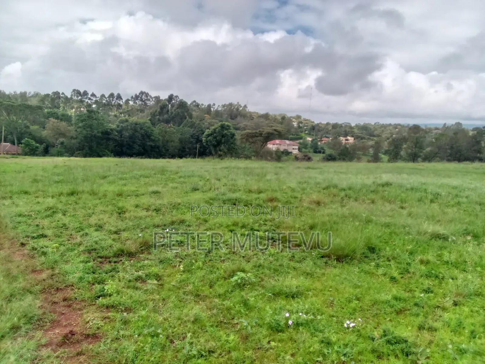 13.5 Acre Land for Sale in Karen
