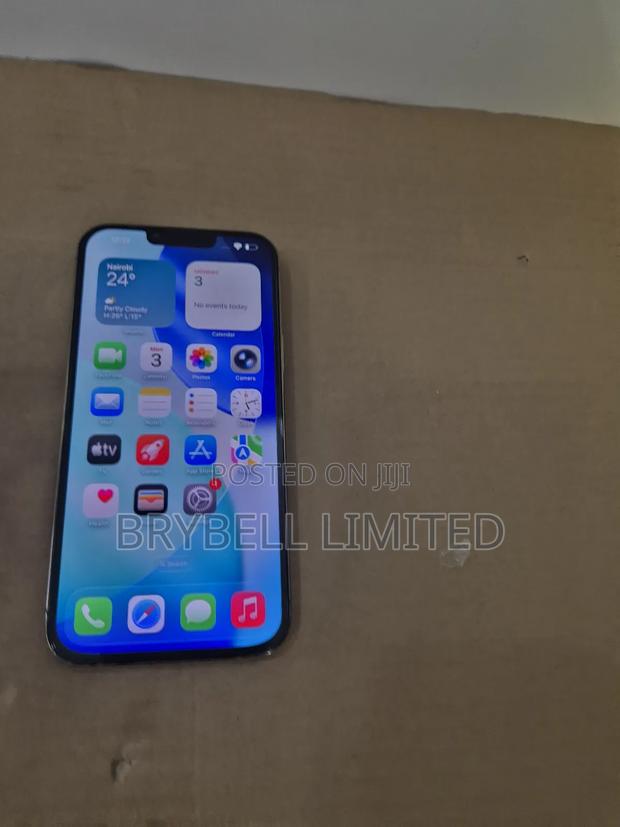 Apple iPhone 13 Pro Max 256 GB Gold