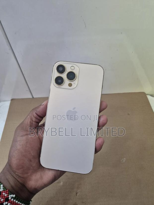 Apple iPhone 13 Pro Max 256 GB Gold - thumbnail 8
