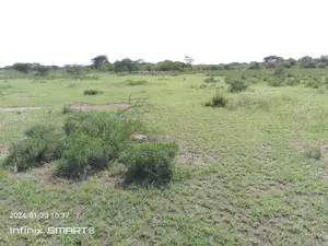 For Sale: 9,000 Acres of Prime Undeveloped Land in Kajiado