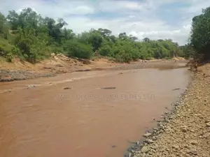 For Sale: 9,000 Acres of Prime Undeveloped Land in Kajiado