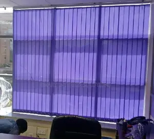 Executive Office Window Blinds