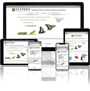 Website Strategy Development: A Consultant Coder in One