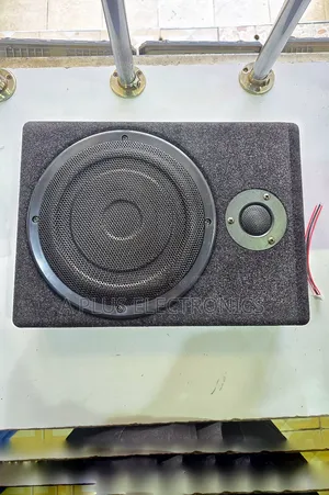 801 8 Inch Underseat Subwoofer