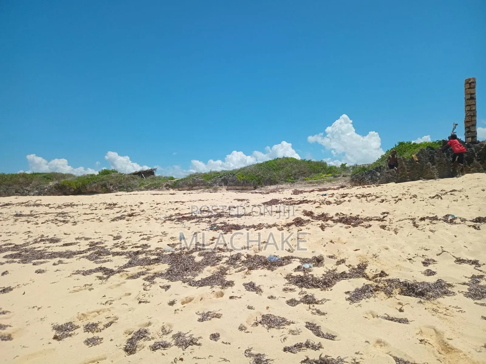 Beach Front Plot for Sale