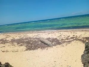 Beach Front Plot for Sale