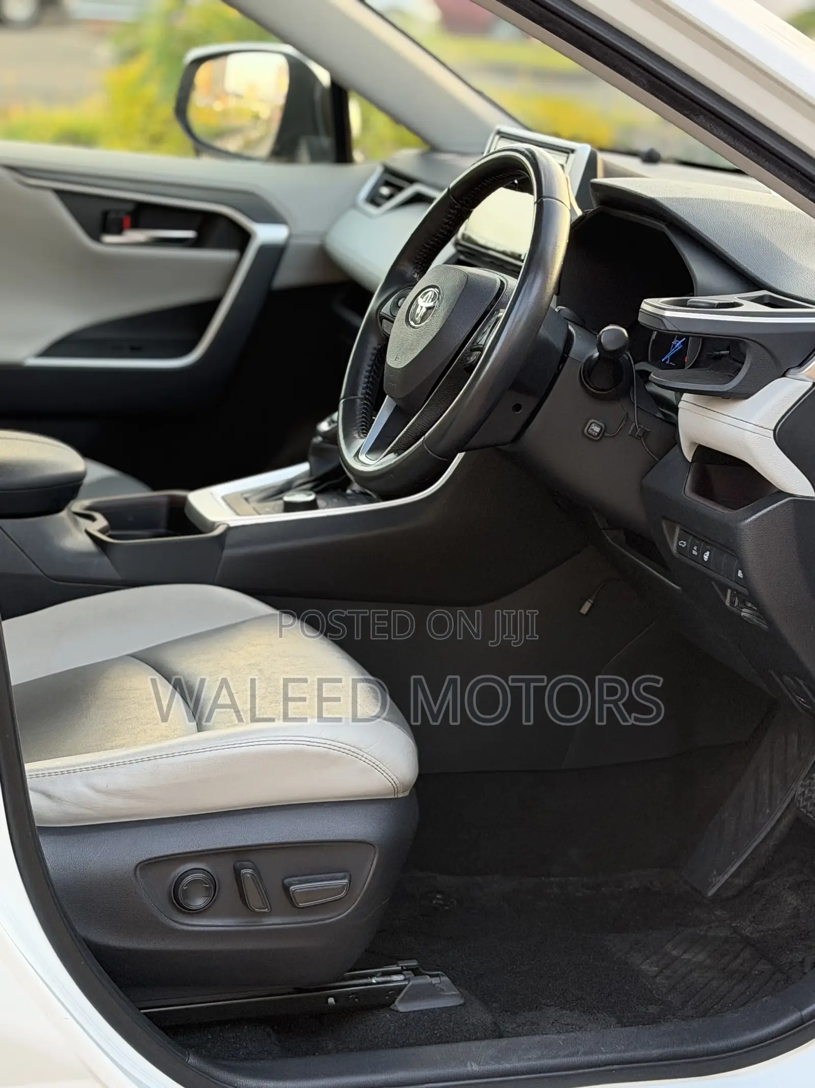 Toyota RAV4 Adventure 2019 Pearl
