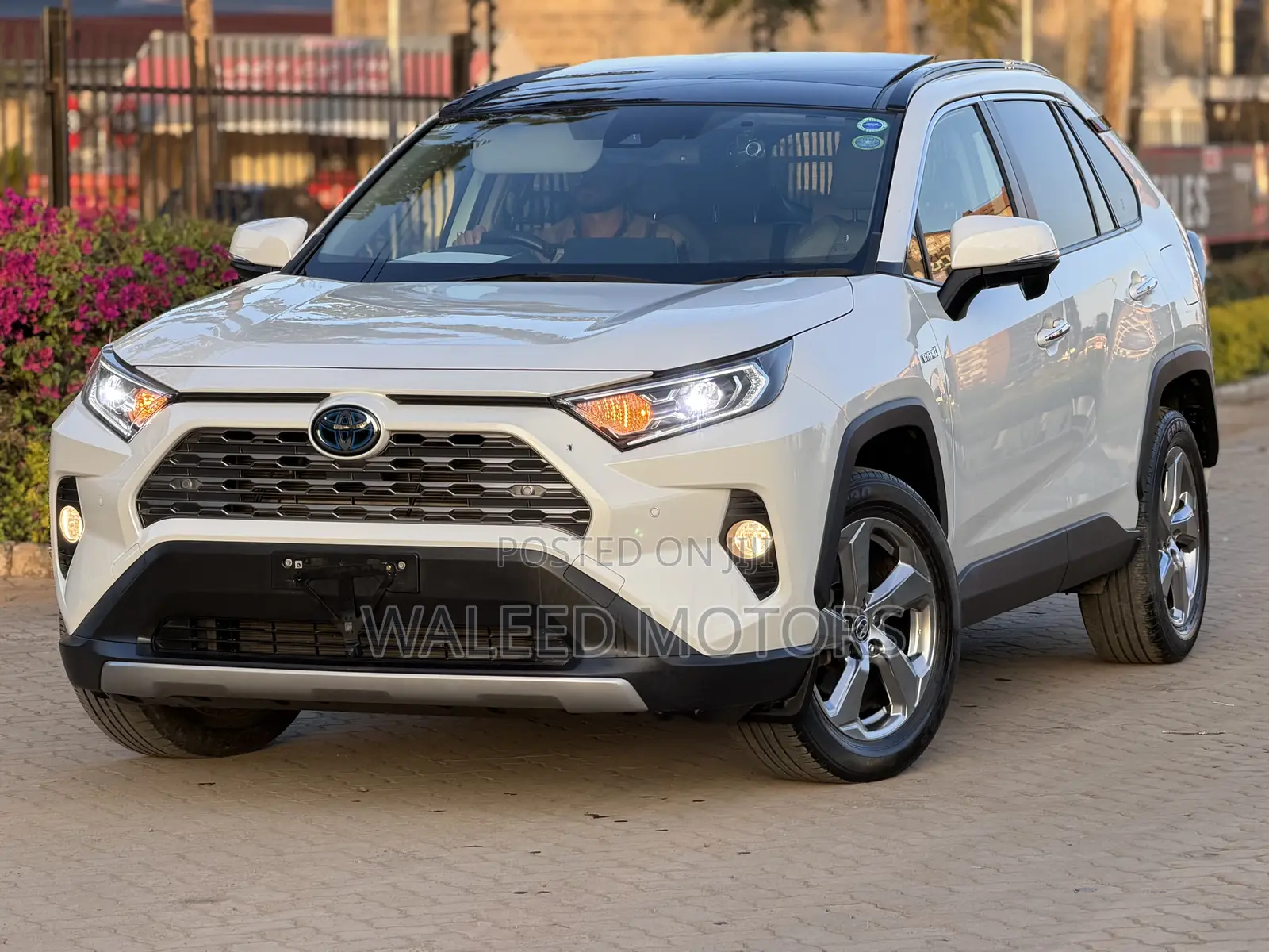 Toyota RAV4 Adventure 2019 Pearl
