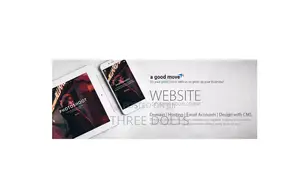 Wordpress Websites For Service Businesses: Done In 2 Weeks