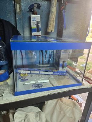 Blue Themed Aquarium - thumbnail 2