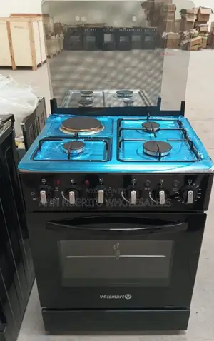 Standing Cooker With Oven