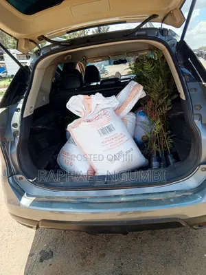Nissan X-Trail 2013 Silver