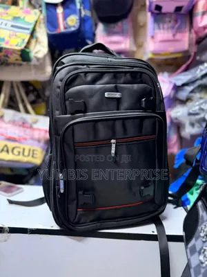 Big Spacious Backpacks Quality and Safe for Laptop,Travel, Documents