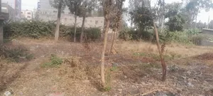 Land for Lease