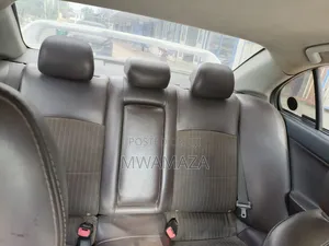 Mitsubishi Galant 2008 Gray