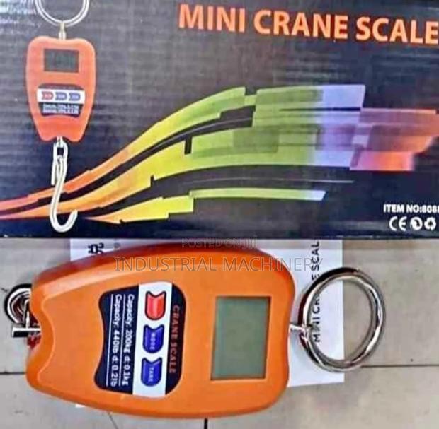 Mini Crane Scale 200kgs - main view
