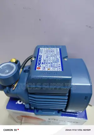 Pkm60 Pedrollo Water Pump/ 0.5 Hp Pump