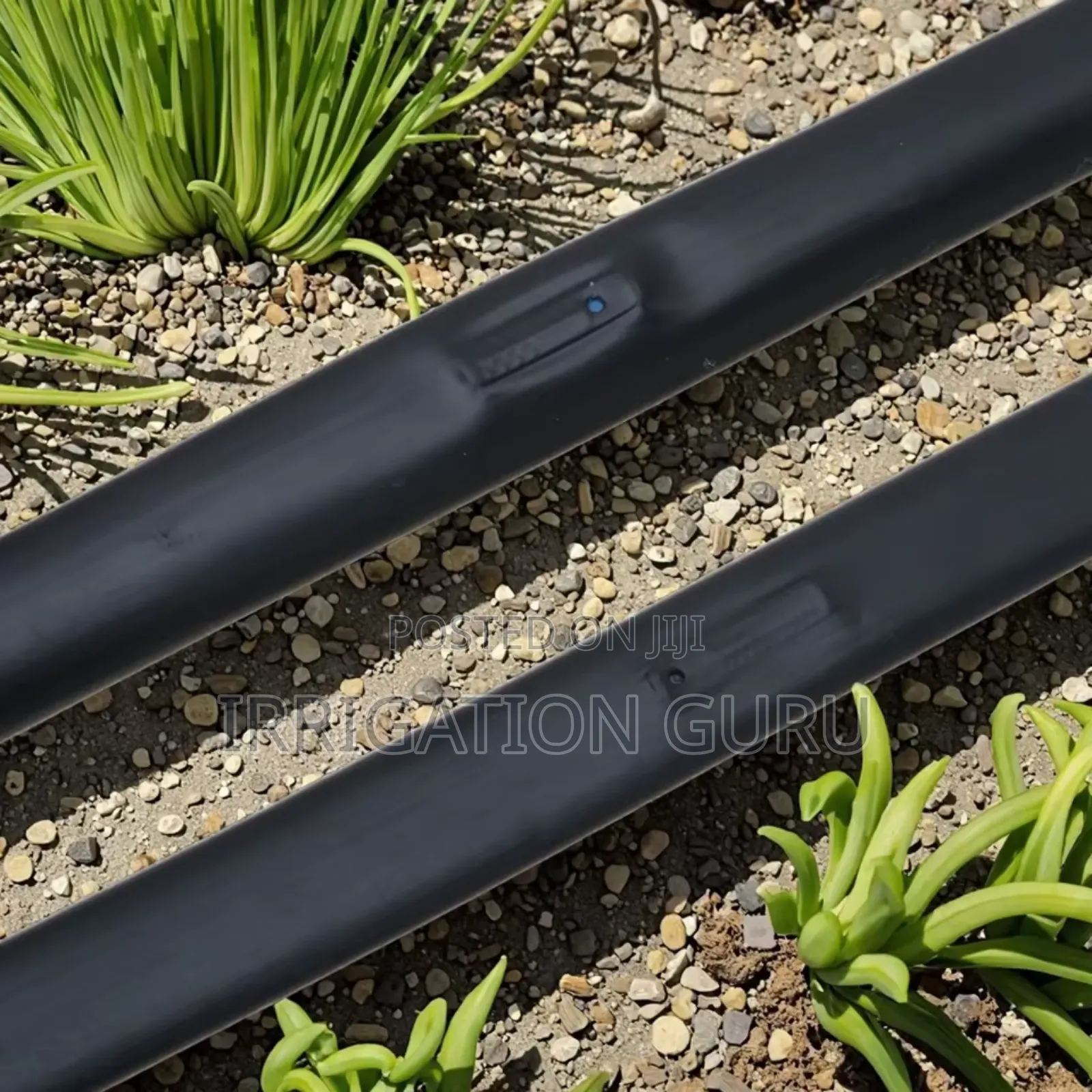 Garden Drip Tape