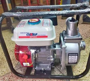 Original Golf Water Pump 2inch