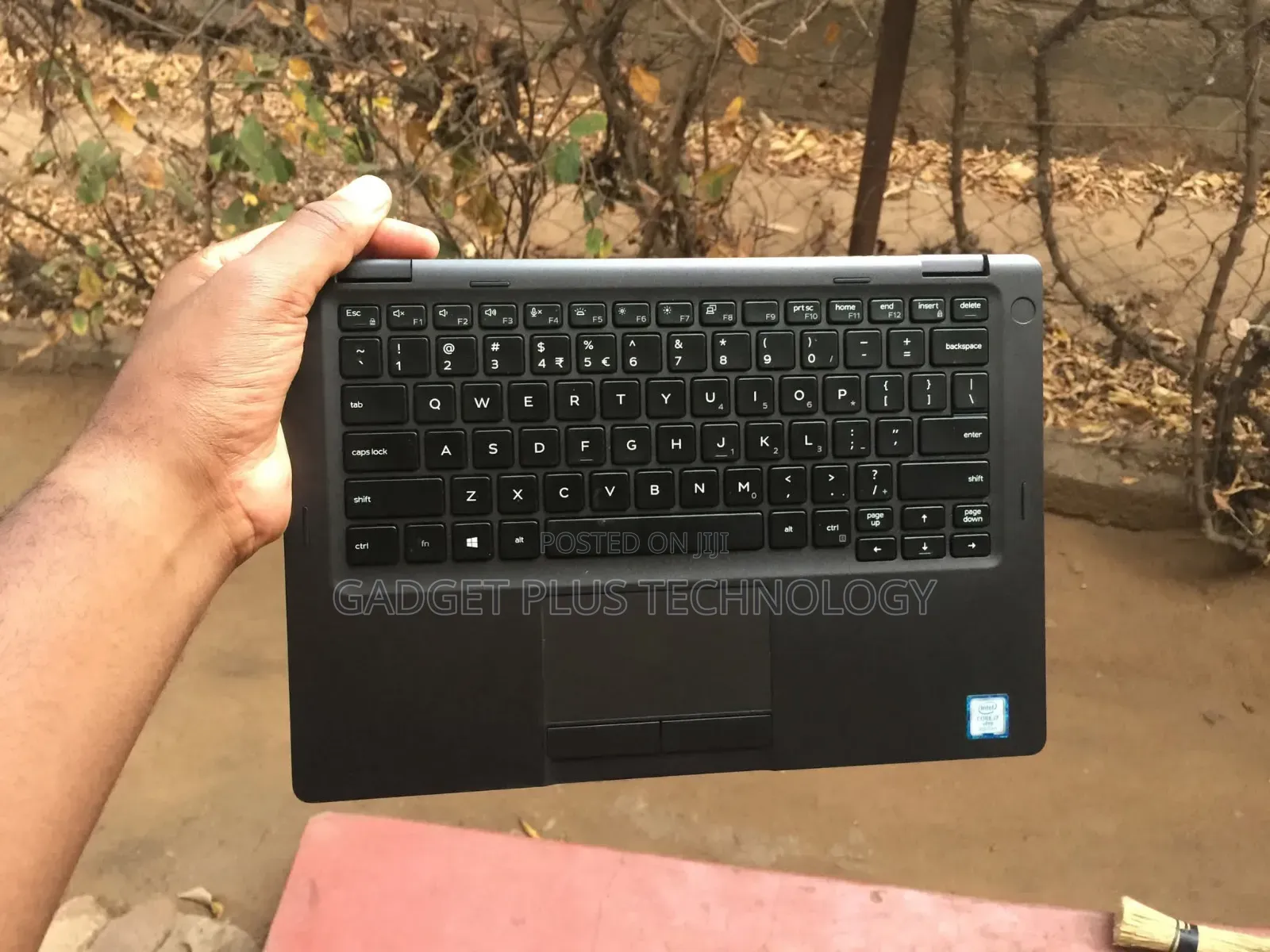 Laptop Dell Latitude 5300 8GB Intel Core i5 SSD 256GB