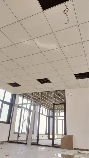 Modern Office Acoustic Ceilings Interior Design Fittings