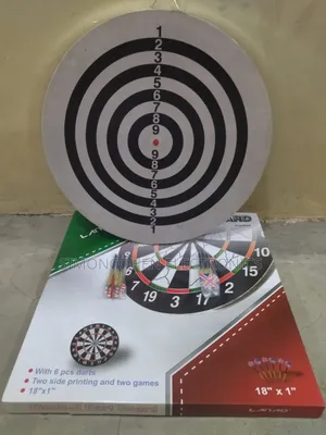Professional Dart Board