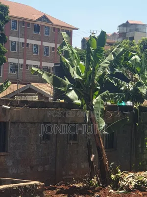 Plot For Lease 2km From Ruaka At Gathanga- Shopping Centre