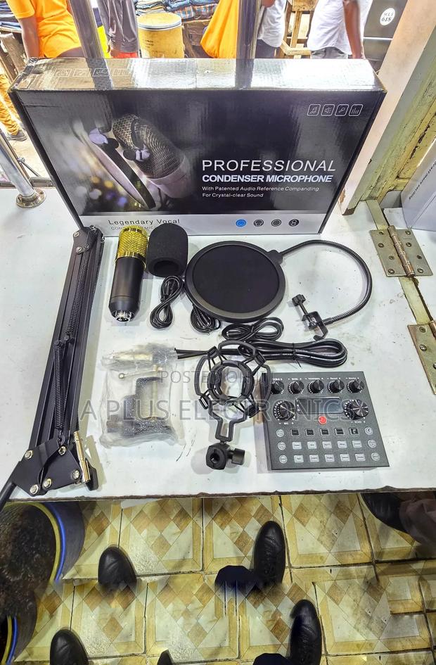 V8 Professional Condenser Microphone - main view